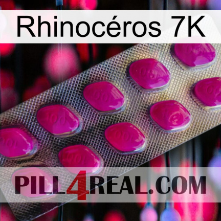 Rhinocéros 7K 09